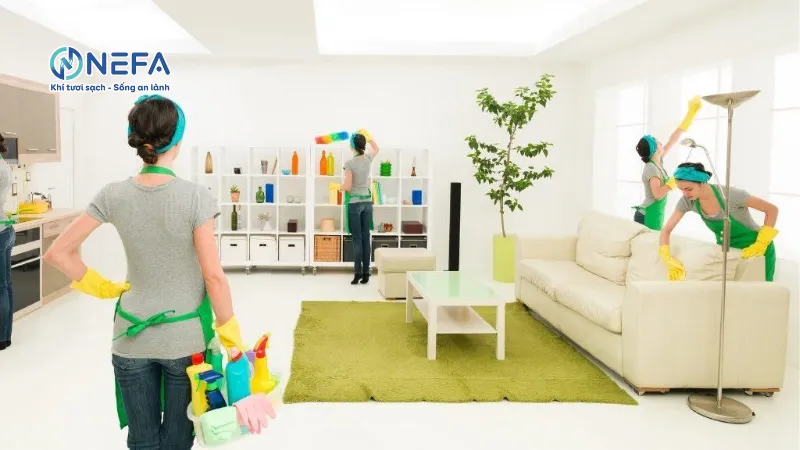 Dọn dẹp & vệ sinh định kỳ