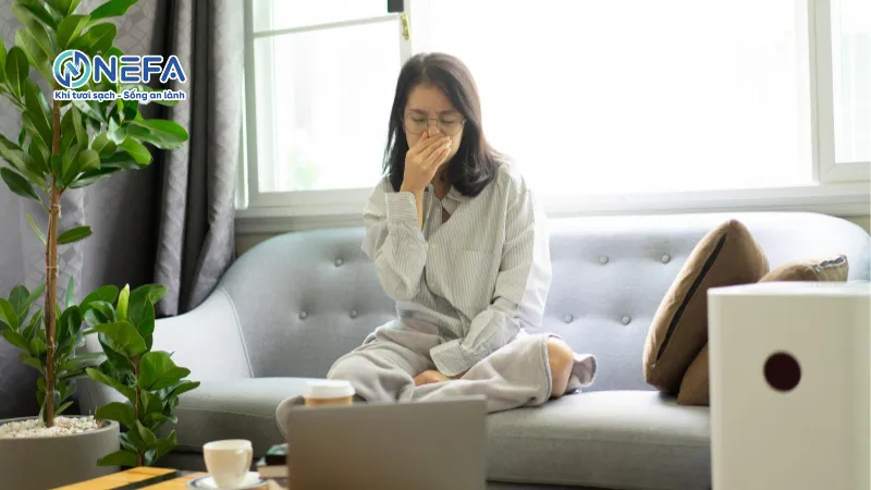 Loại bỏ chất ô nhiễm