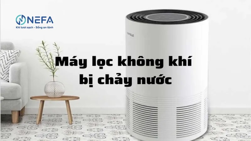 Máy lọc không khí bị rò nước