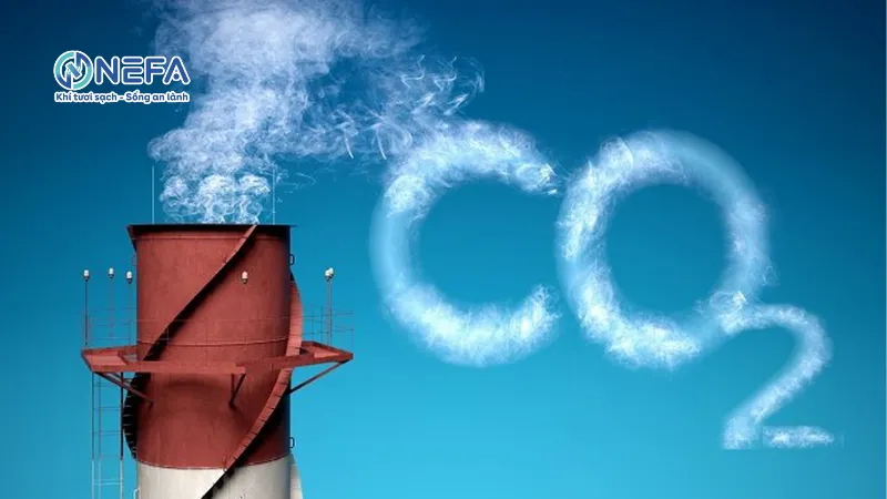 Cách tính tiêu chuẩn nồng độ CO2 trong không khí