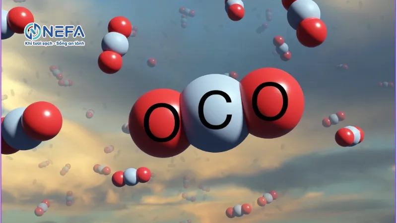 Câu hỏi thường gặp