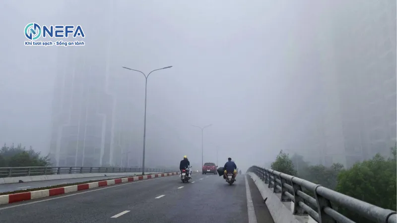 Bụi là gì?