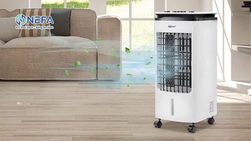 Mùi hôi của quạt hơi nước xuất hiện là do đâu?
