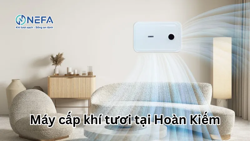 https://nefa.vn/may-cap-khi-tuoi-tai-hoan-kiem/
