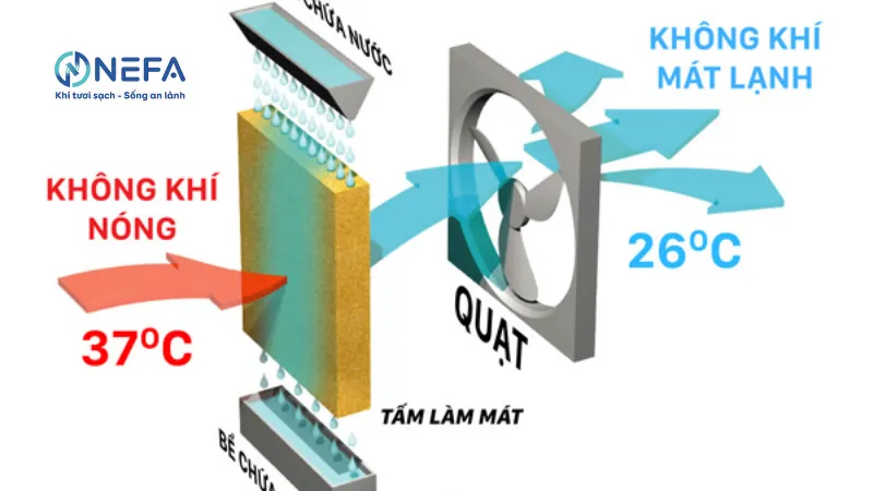 Cấu tạo của máy làm mát không khí