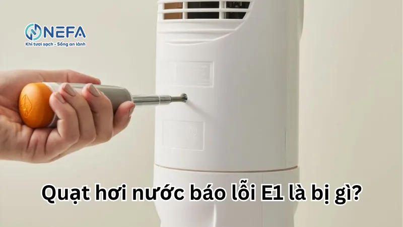 https://nefa.vn/quat-hoi-nuoc-bao-loi-e1/