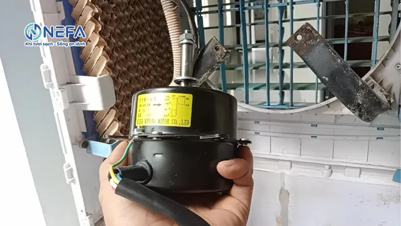 Motor quạt bị hư hỏng