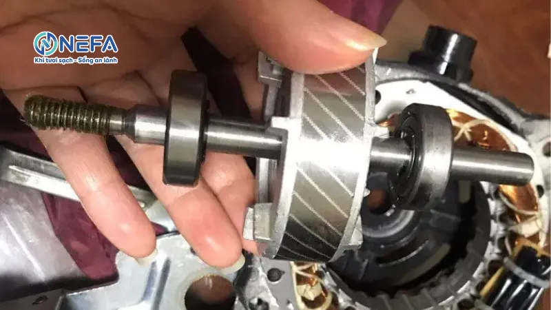 Vòng bi bị mòn hoặc thiếu dầu mỡ