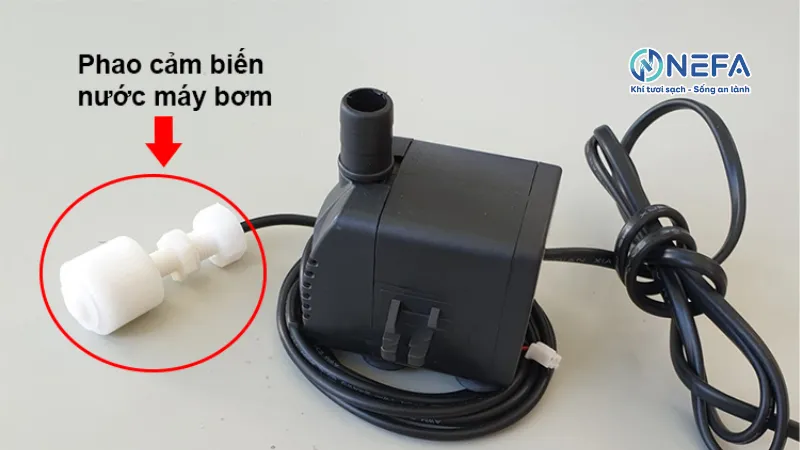 Bơm nước hoạt động không ổn định