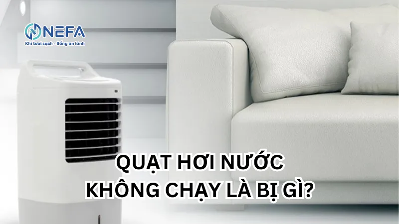 https://nefa.vn/nguyen-nhan-quat-hoi-nuoc-khong-chay/