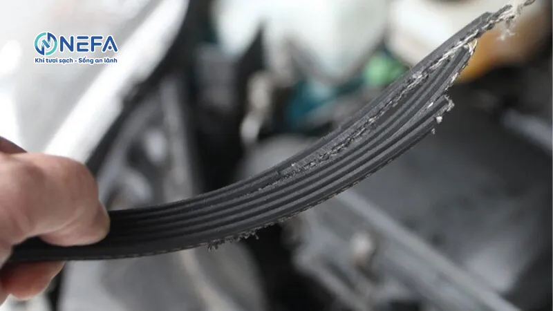 Dây curoa bị tuột hoặc đứt