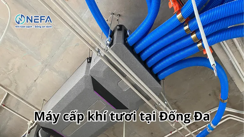 https://nefa.vn/may-cap-khi-tuoi-tai-dong-da/
