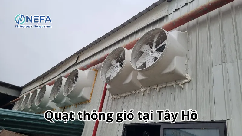 NEFA đơn vị bán quạt thông gió tại Tây Hồ | Bảo Hành Dài Hạn