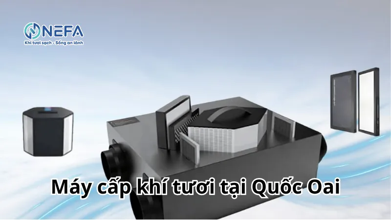 https://nefa.vn/may-cap-khi-tuoi-tai-quoc-oai/