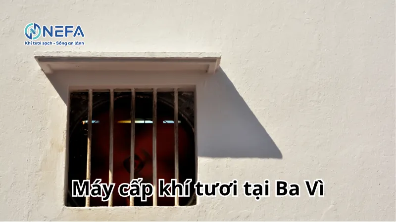 https://nefa.vn/may-cap-khi-tuoi-tai-ba-vi/
