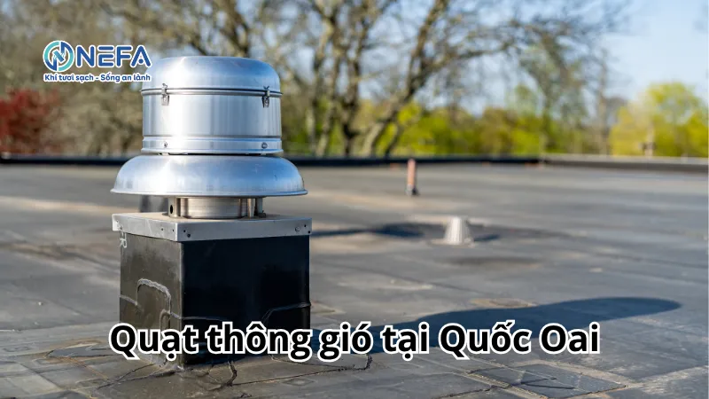 https://nefa.vn/quat-thong-gio-tai-quoc-oai/