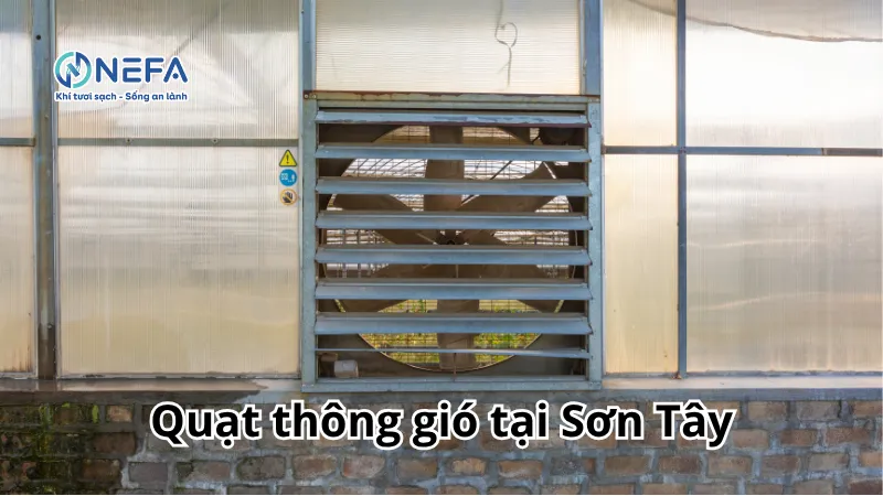 NEFA đơn vị bán quạt thông gió tại Sơn Tây | Bảo Hành Dài Hạn